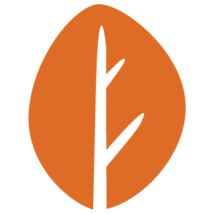 playnestgo.com favicon